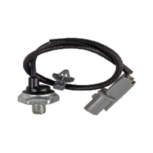 CS KS33 - hyundai