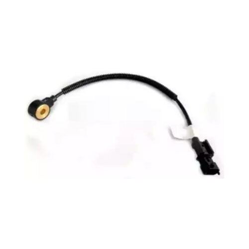 CS KS3925003030 - Knock Sensor