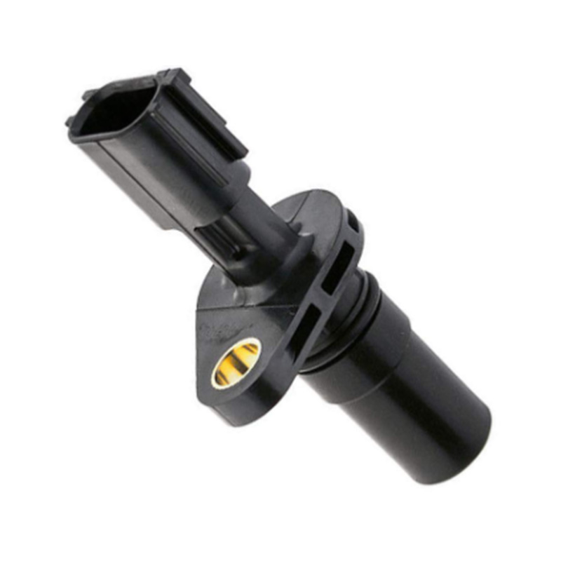 CS SC489 -